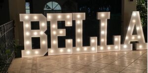 Marquee Letter/day <br> 4ft Tall