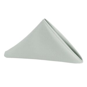 Silver Napkin
