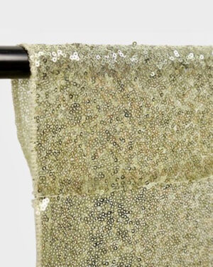 Champagne Sequin  panel